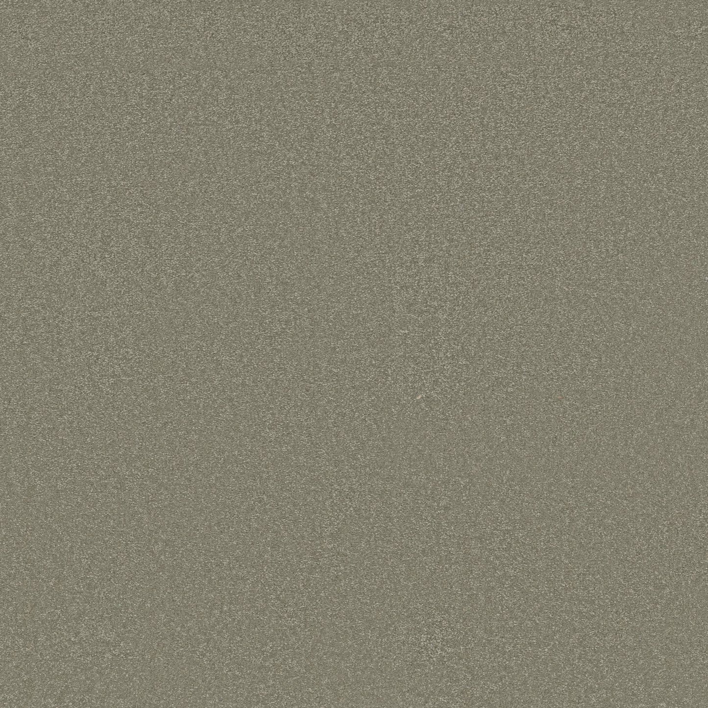 TEXTURE BCF