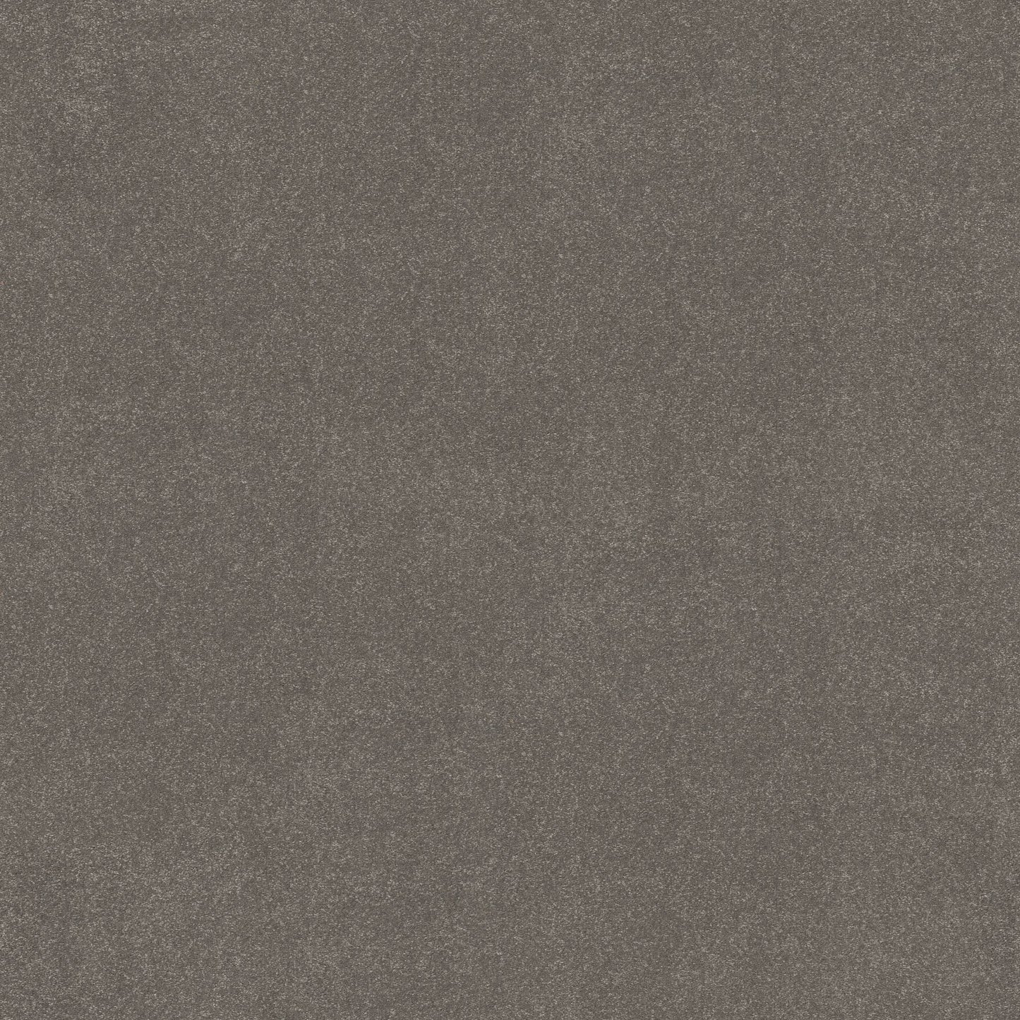 TEXTURE BCF