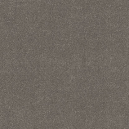 TEXTURE BCF