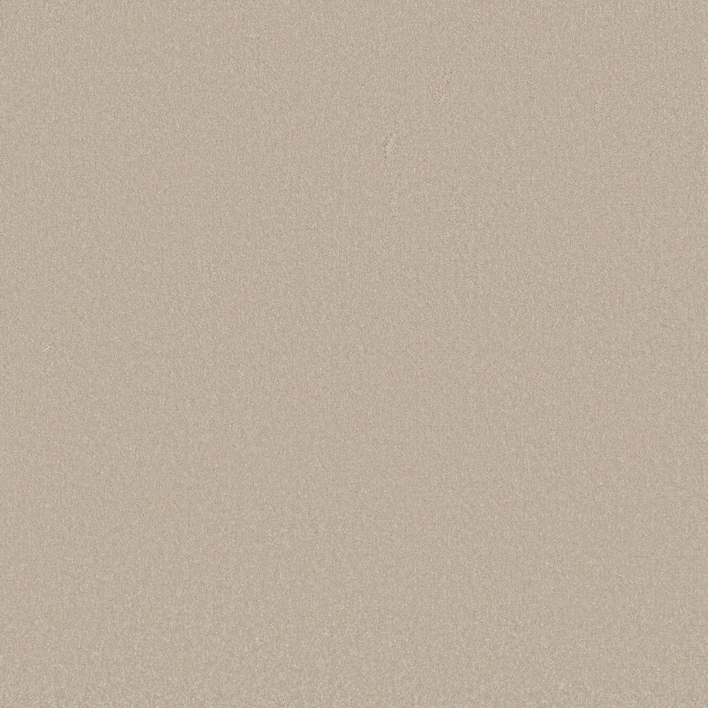 TEXTURE BCF