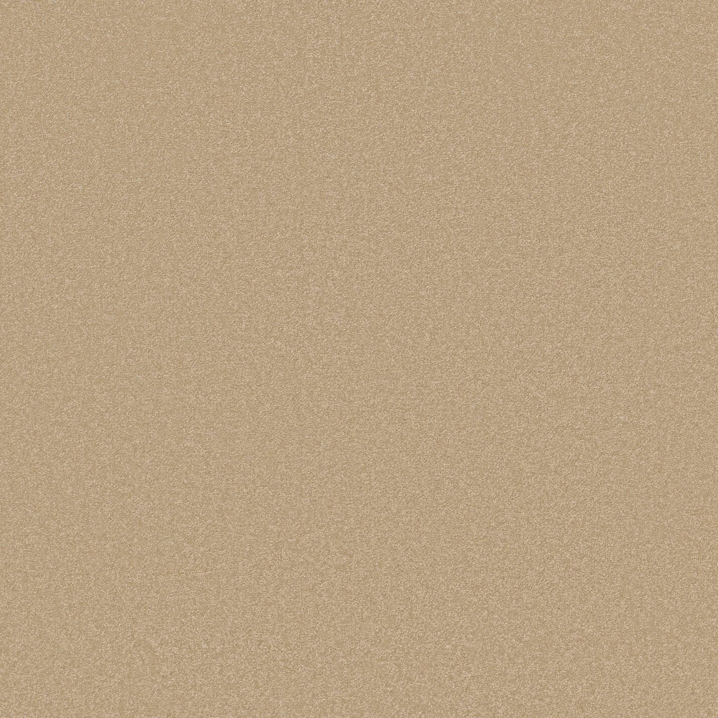 TEXTURE BCF
