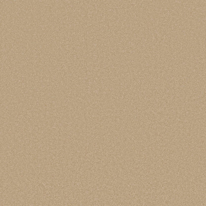 TEXTURE BCF