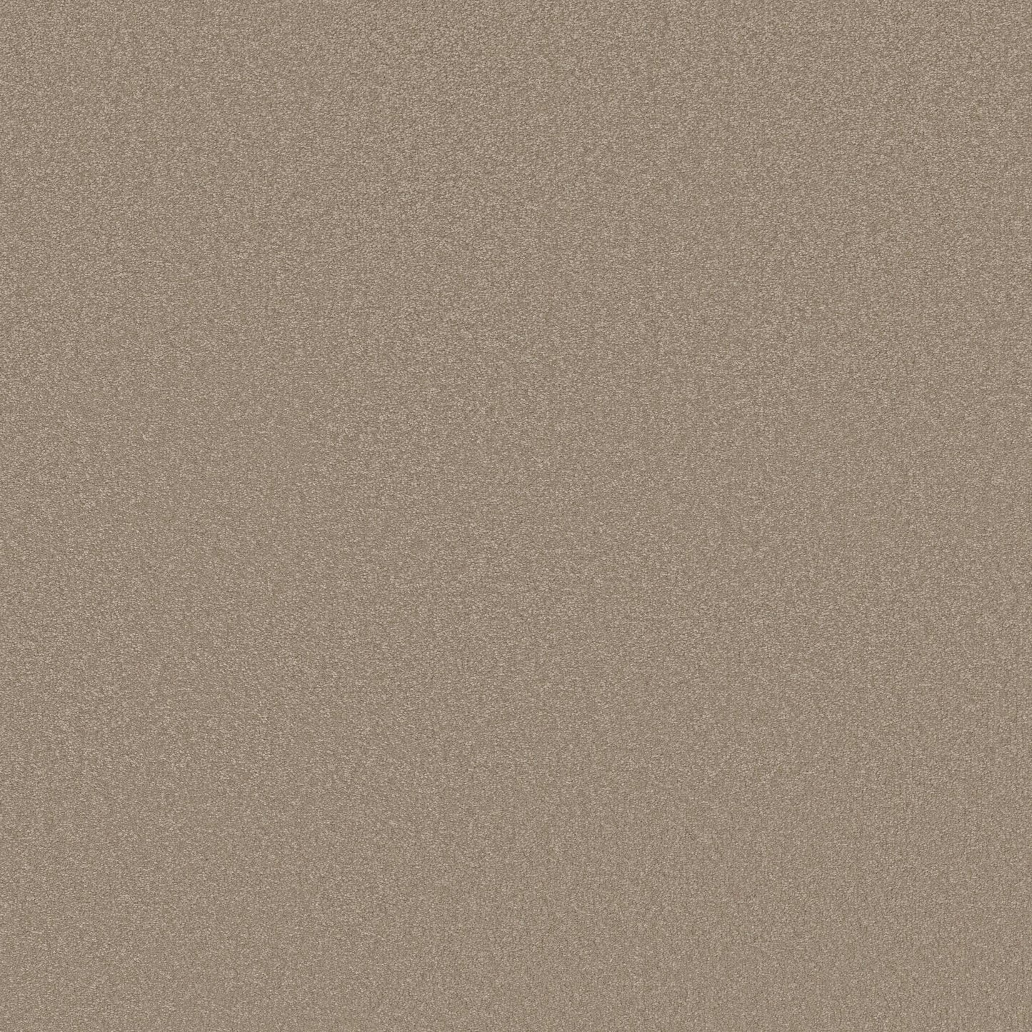 TEXTURE BCF