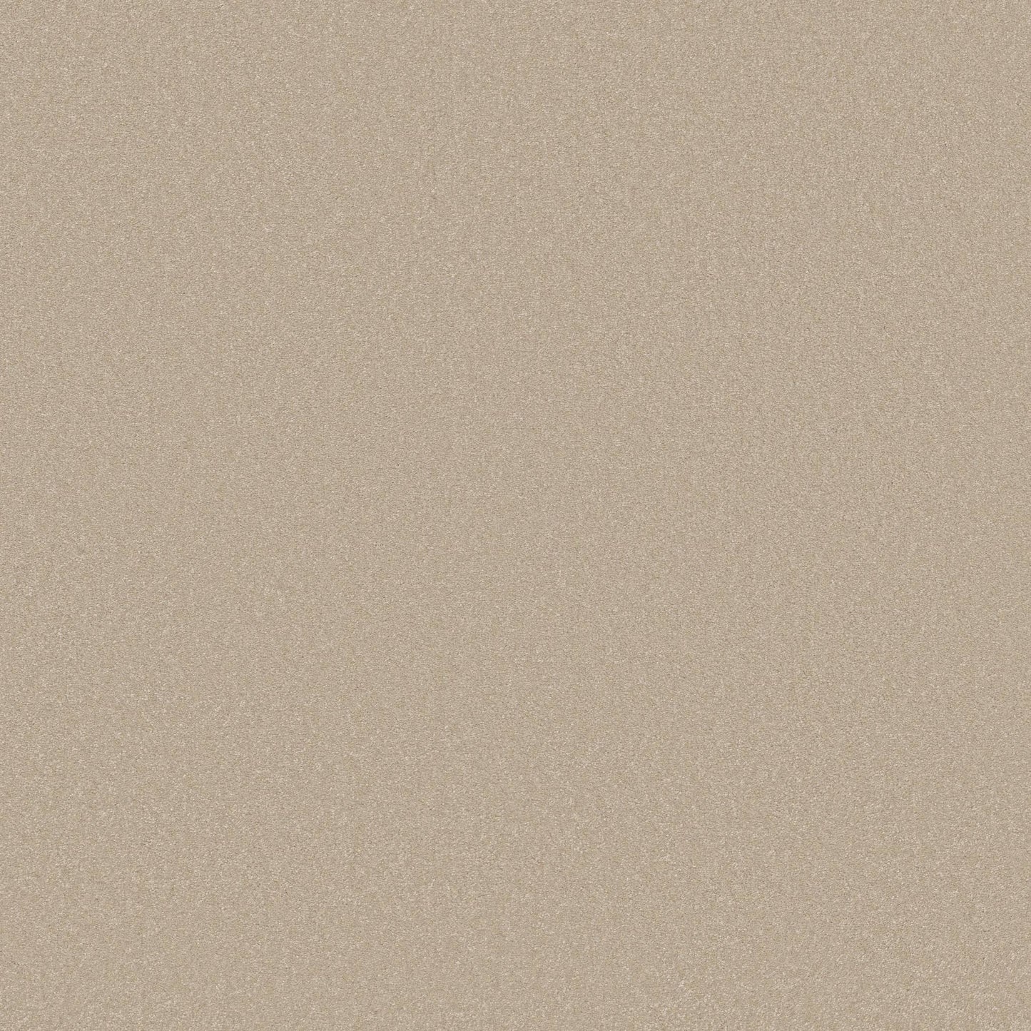 TEXTURE BCF