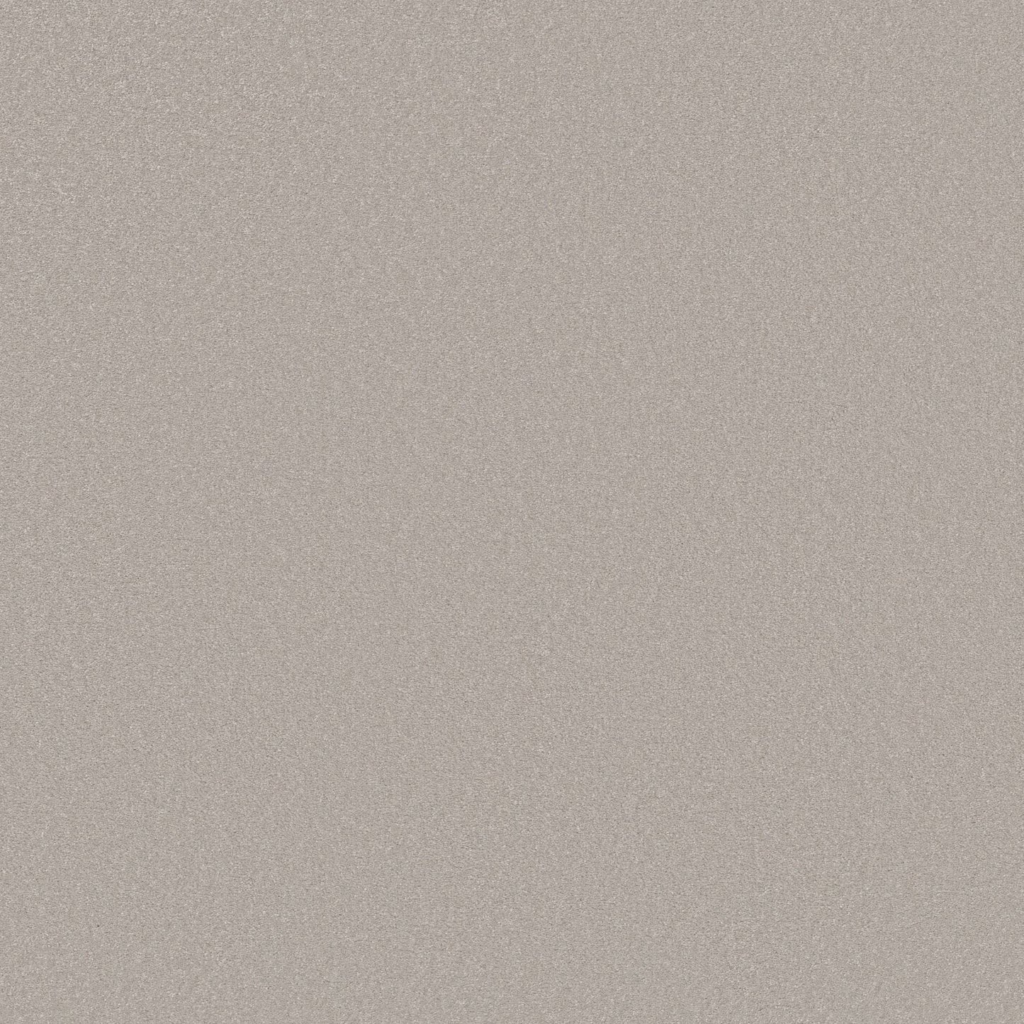 TEXTURE BCF