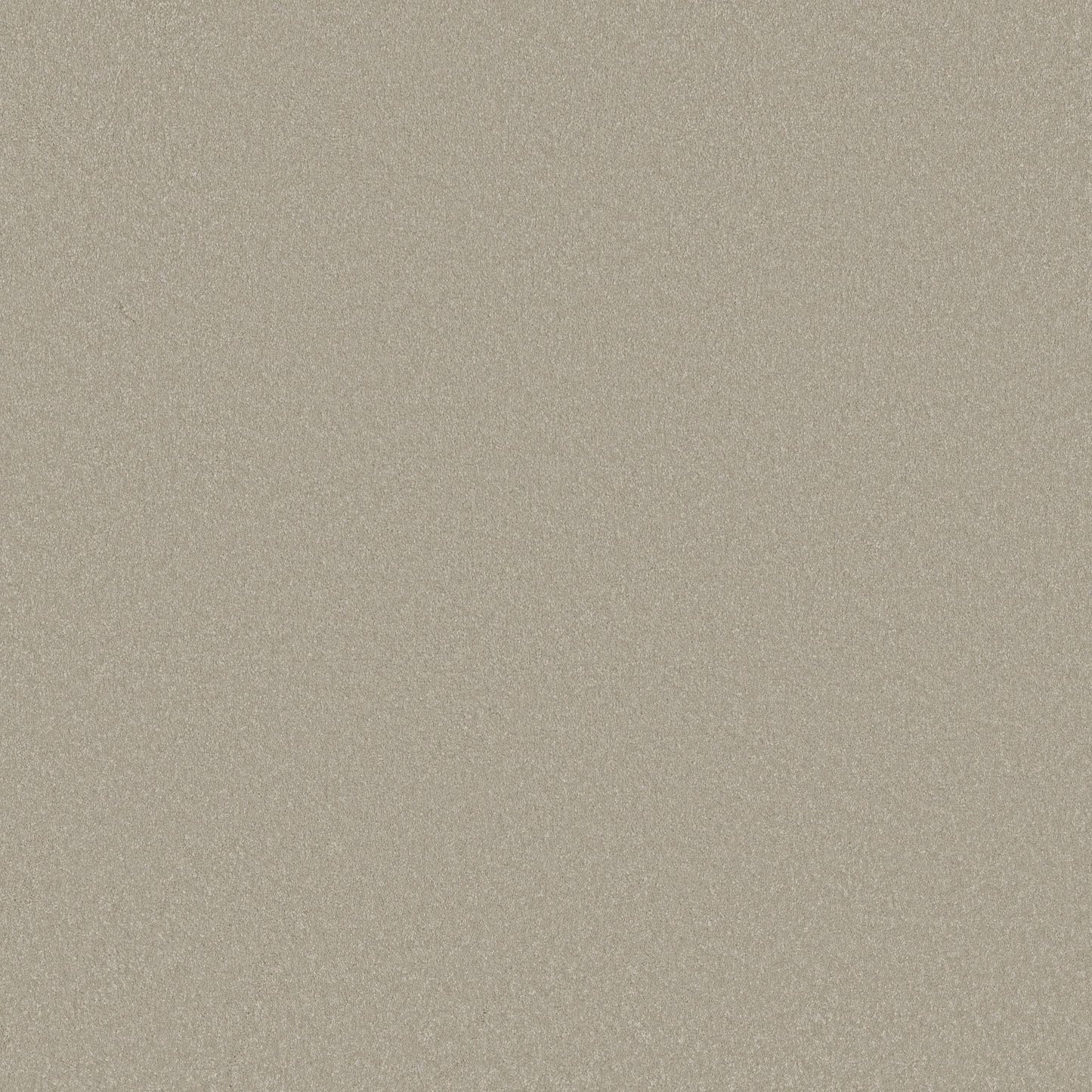 TEXTURE BCF