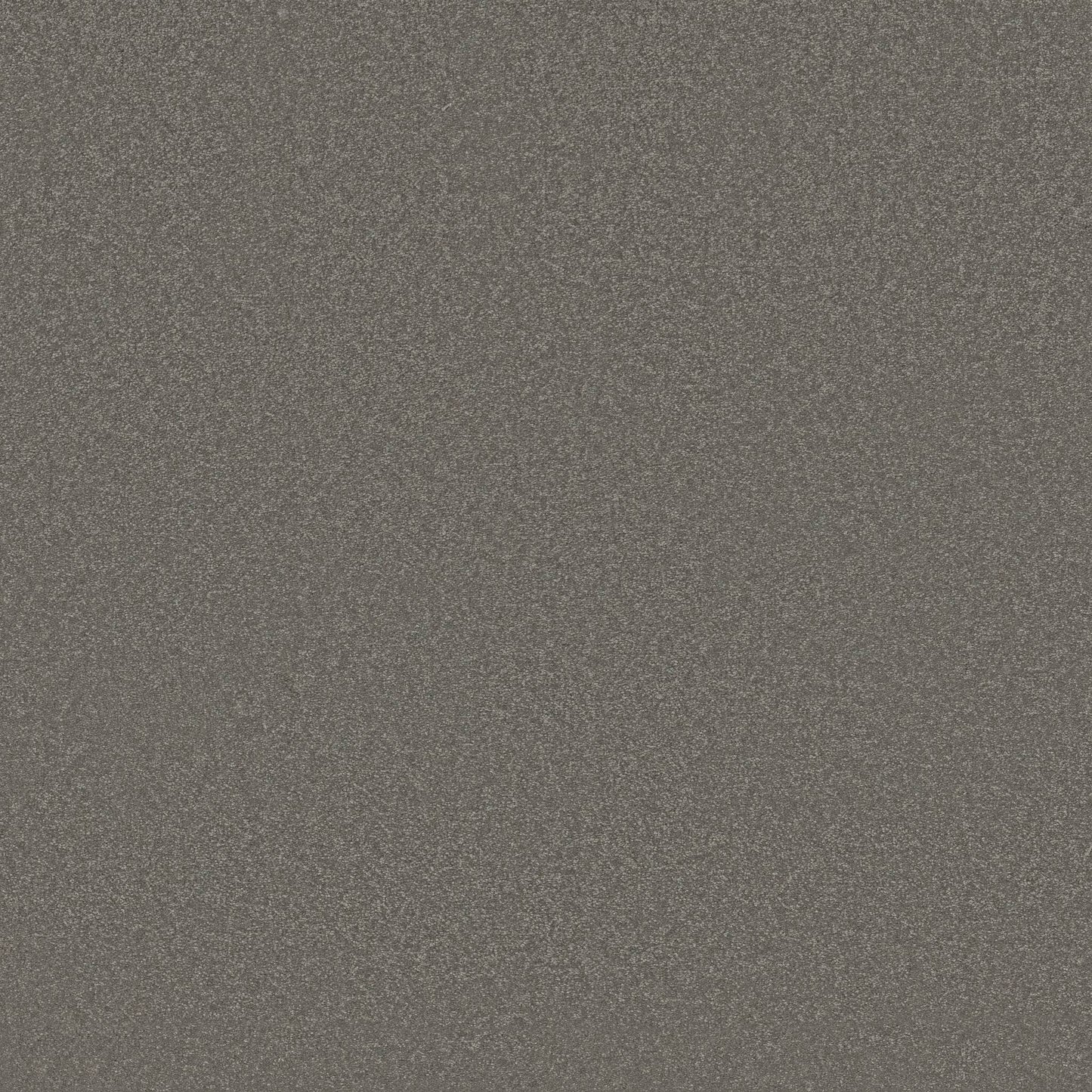 TEXTURE BCF