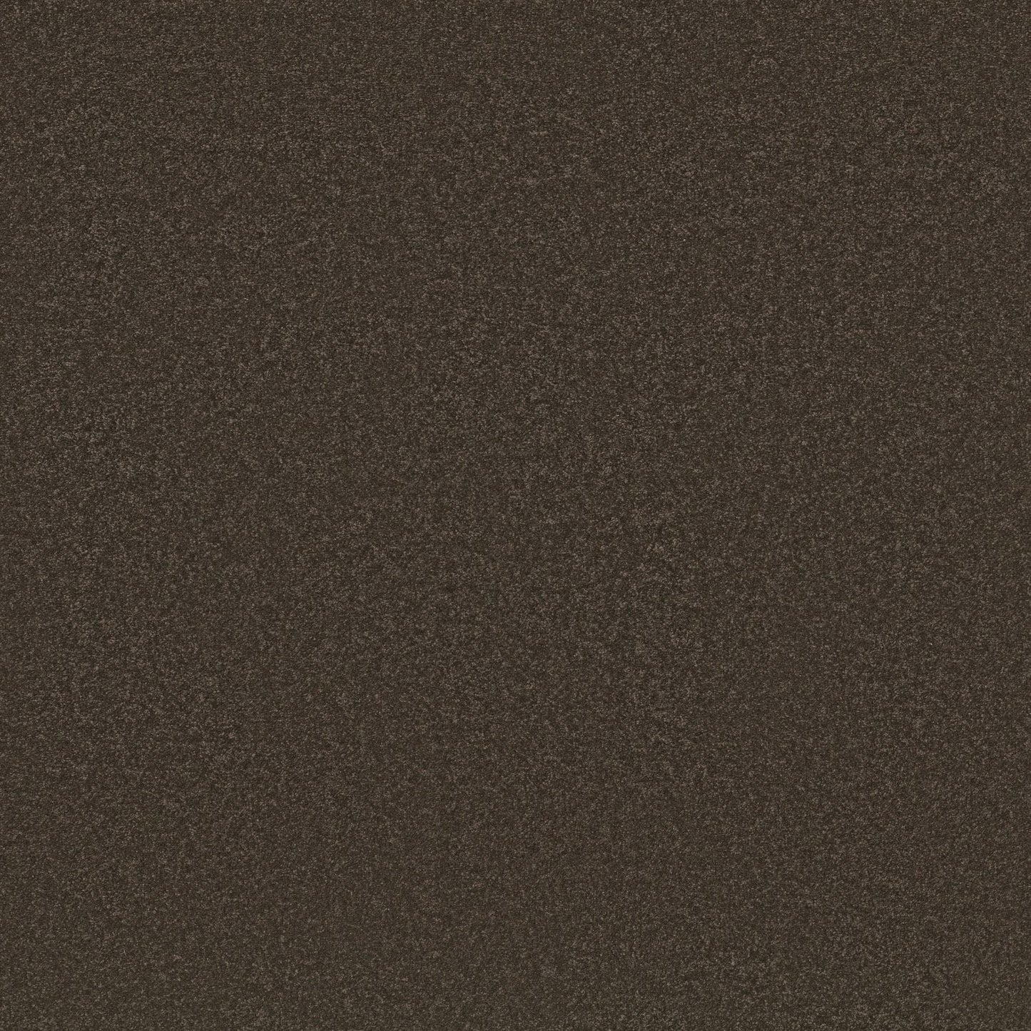 TEXTURE BCF