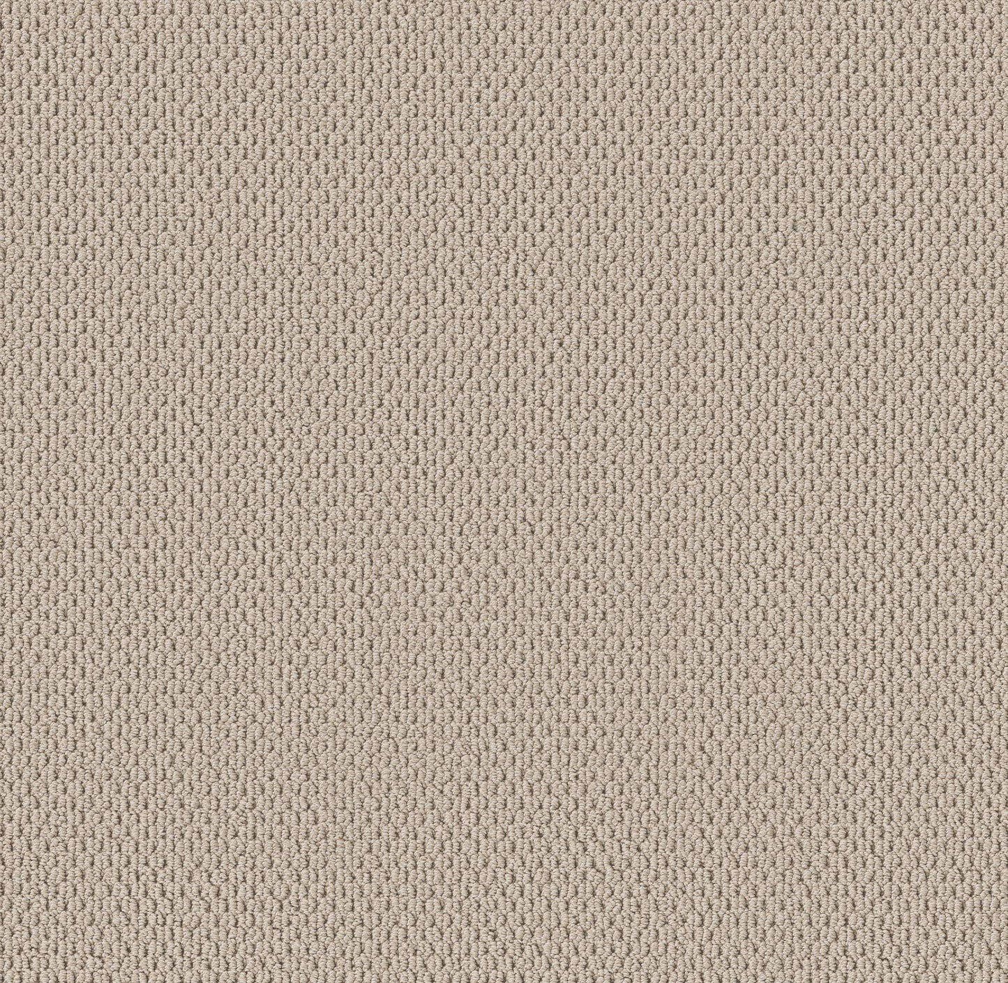 BERBER NYLON LOOP
