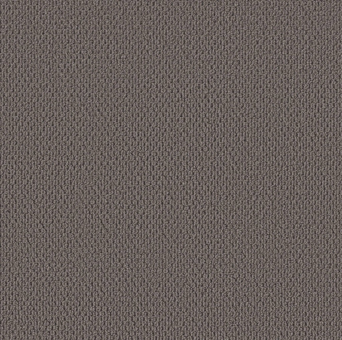 BERBER NYLON LOOP
