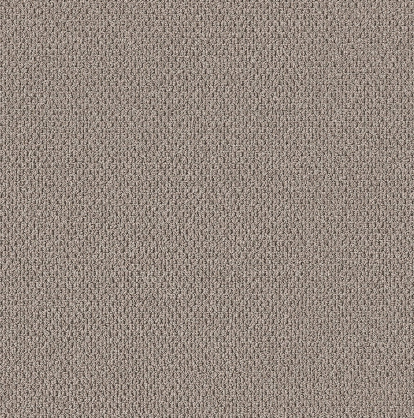 BERBER NYLON LOOP