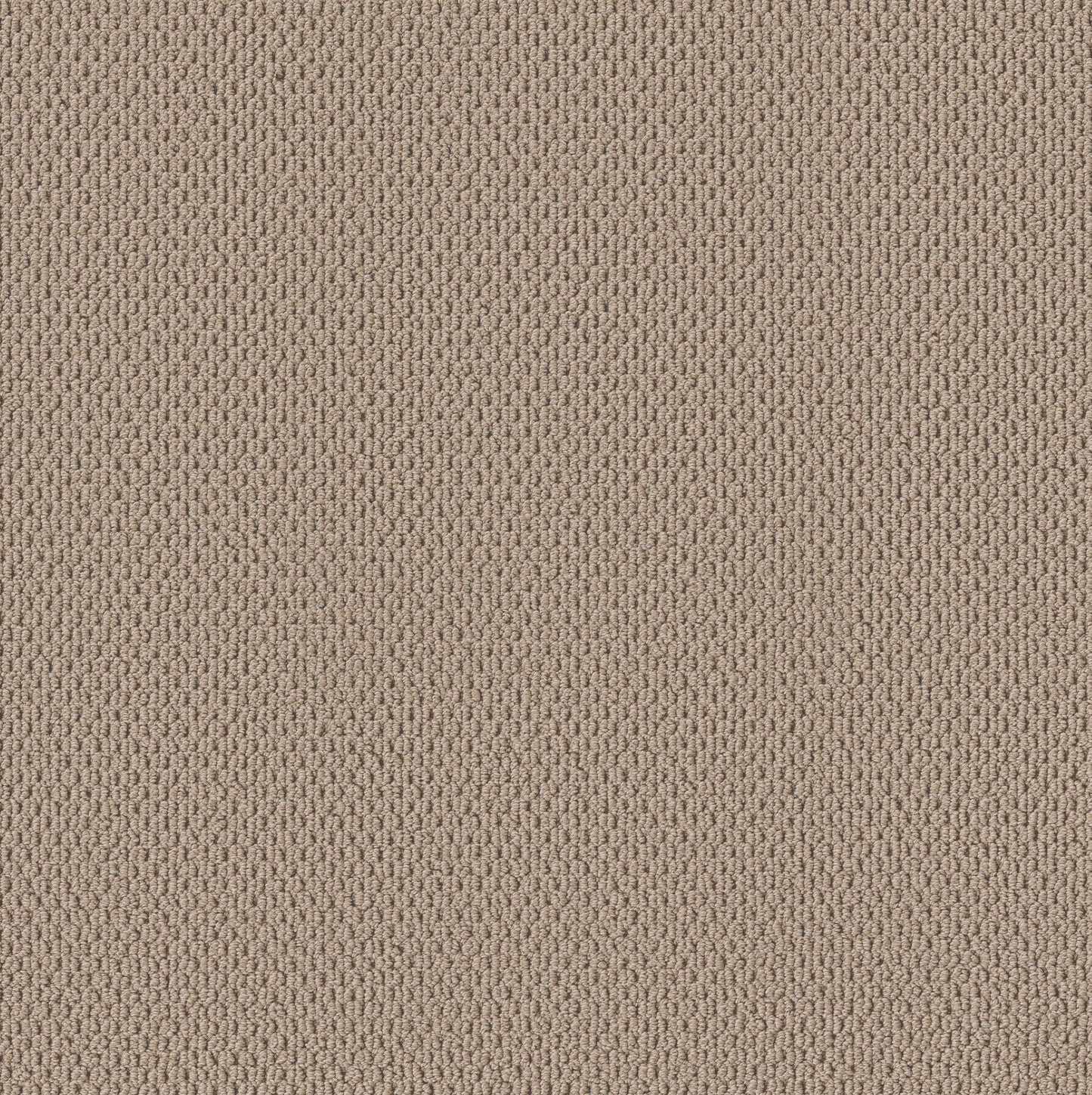 BERBER NYLON LOOP