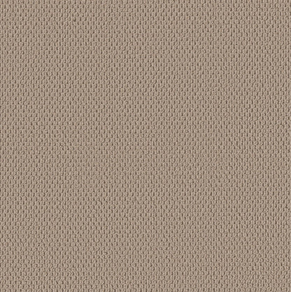 BERBER NYLON LOOP