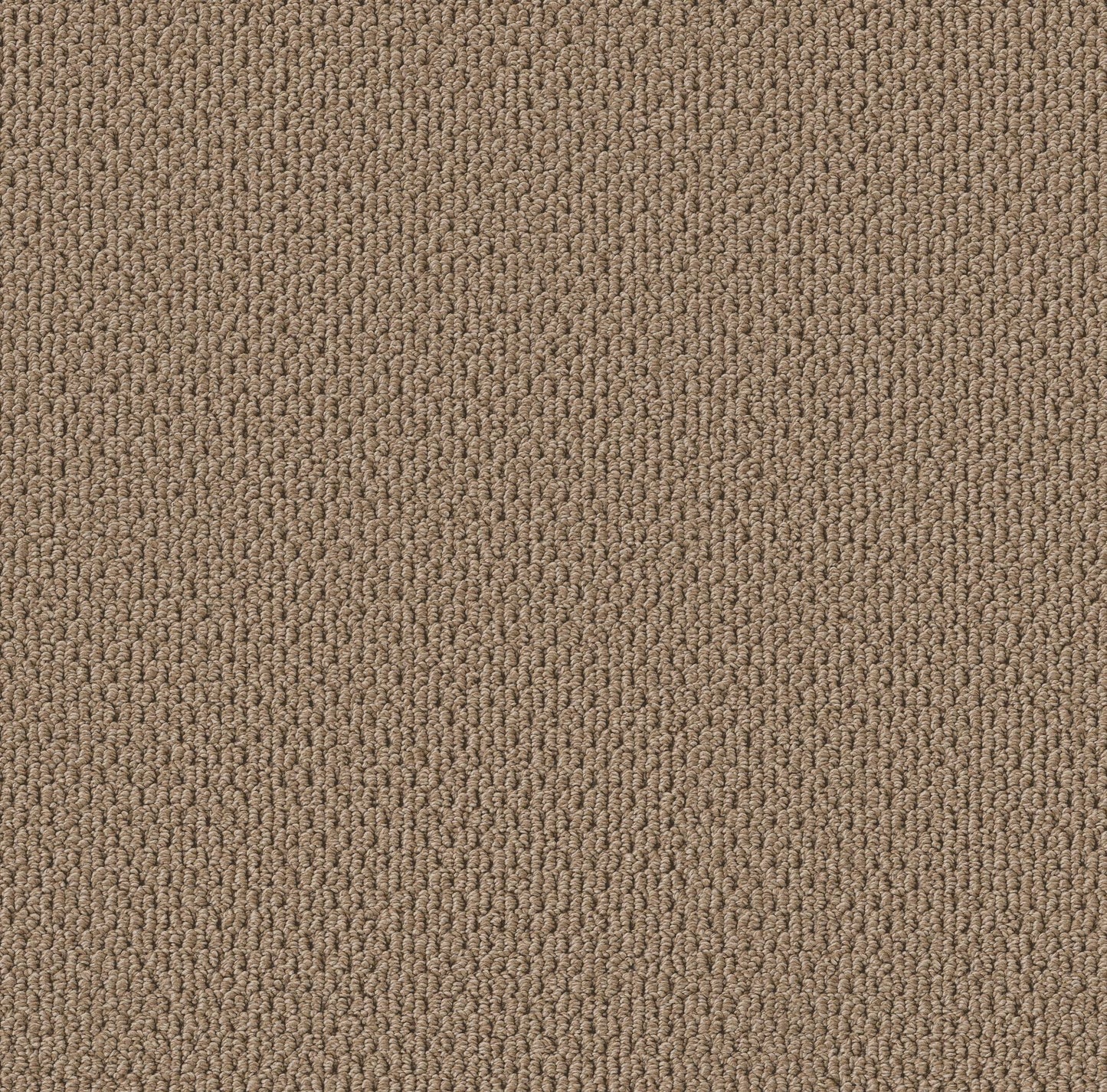 BERBER NYLON LOOP