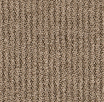 BERBER NYLON LOOP
