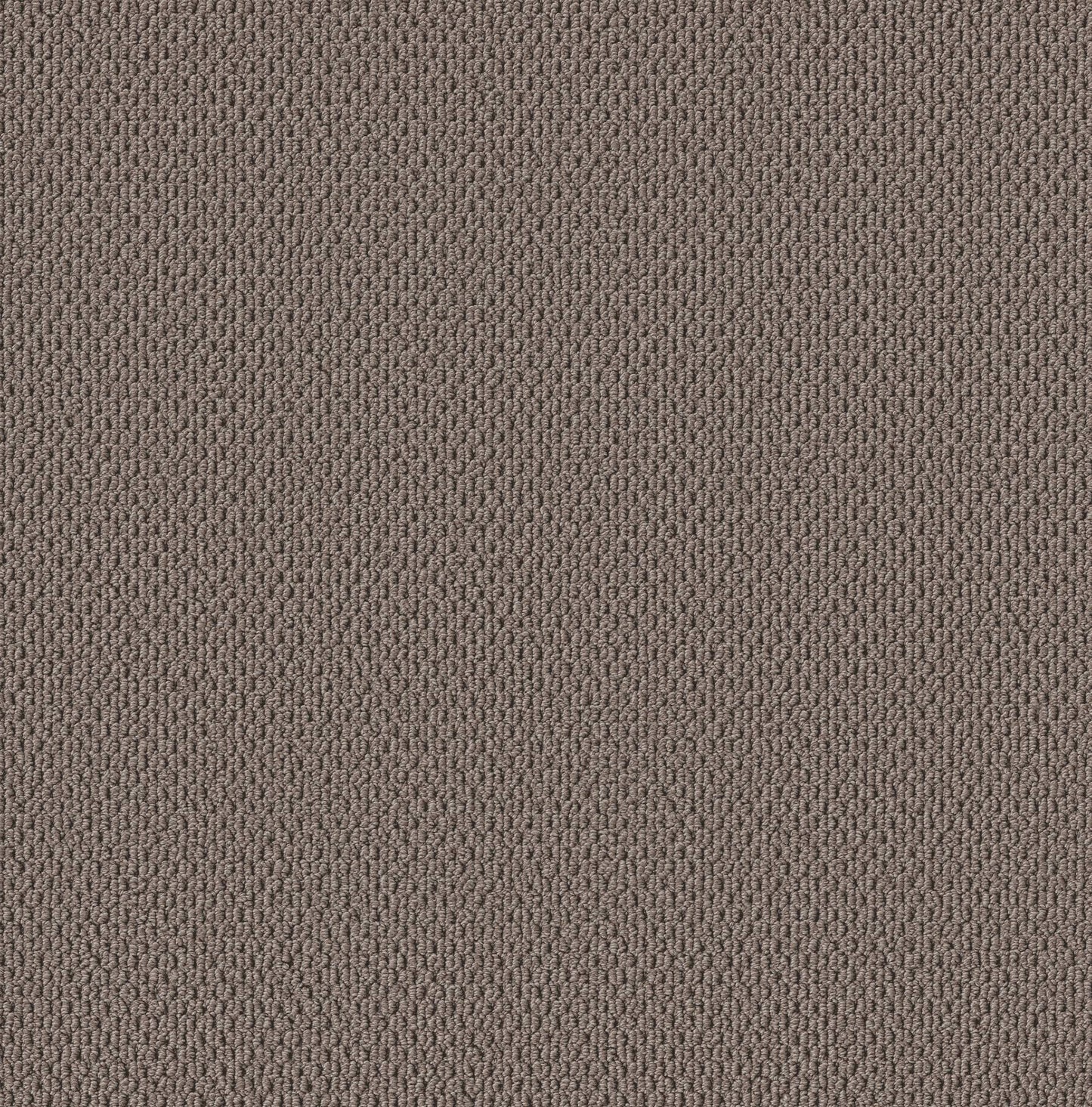 BERBER NYLON LOOP