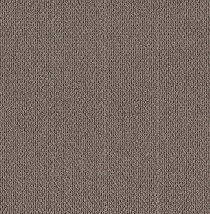 BERBER NYLON LOOP