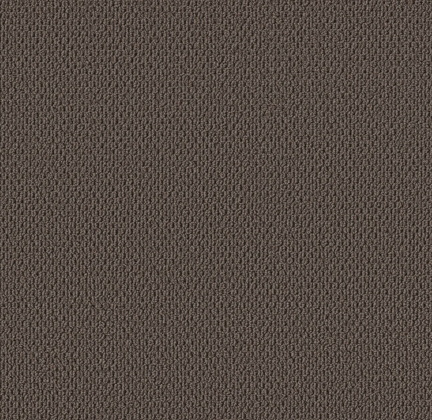 BERBER NYLON LOOP