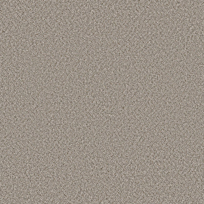 PET BCF
