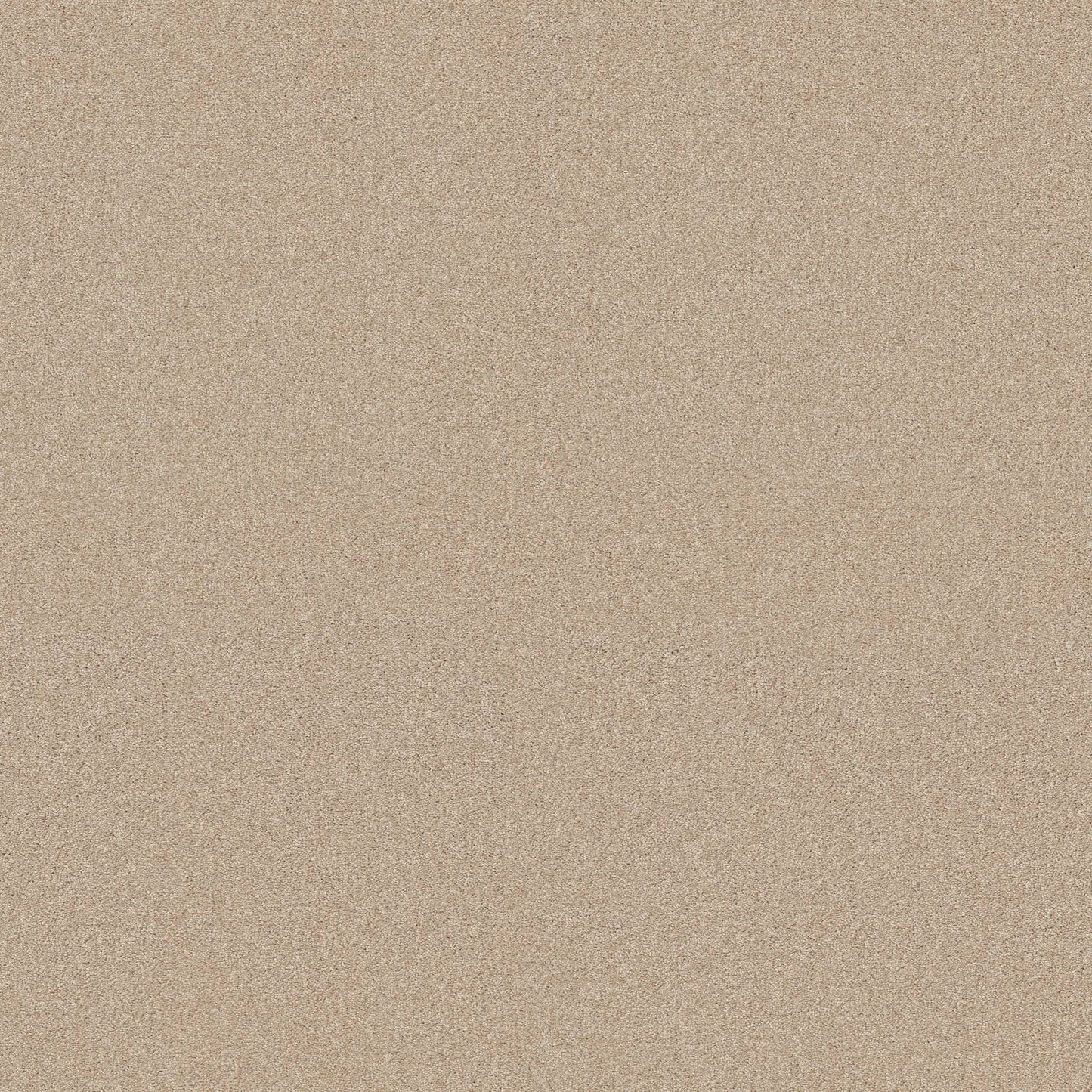 TEXTURE BCF