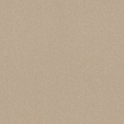 TEXTURE BCF