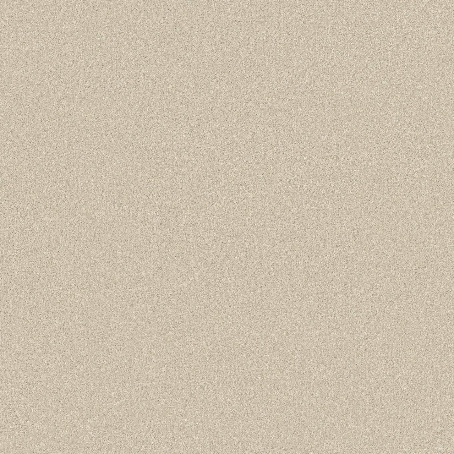 TEXTURE BCF