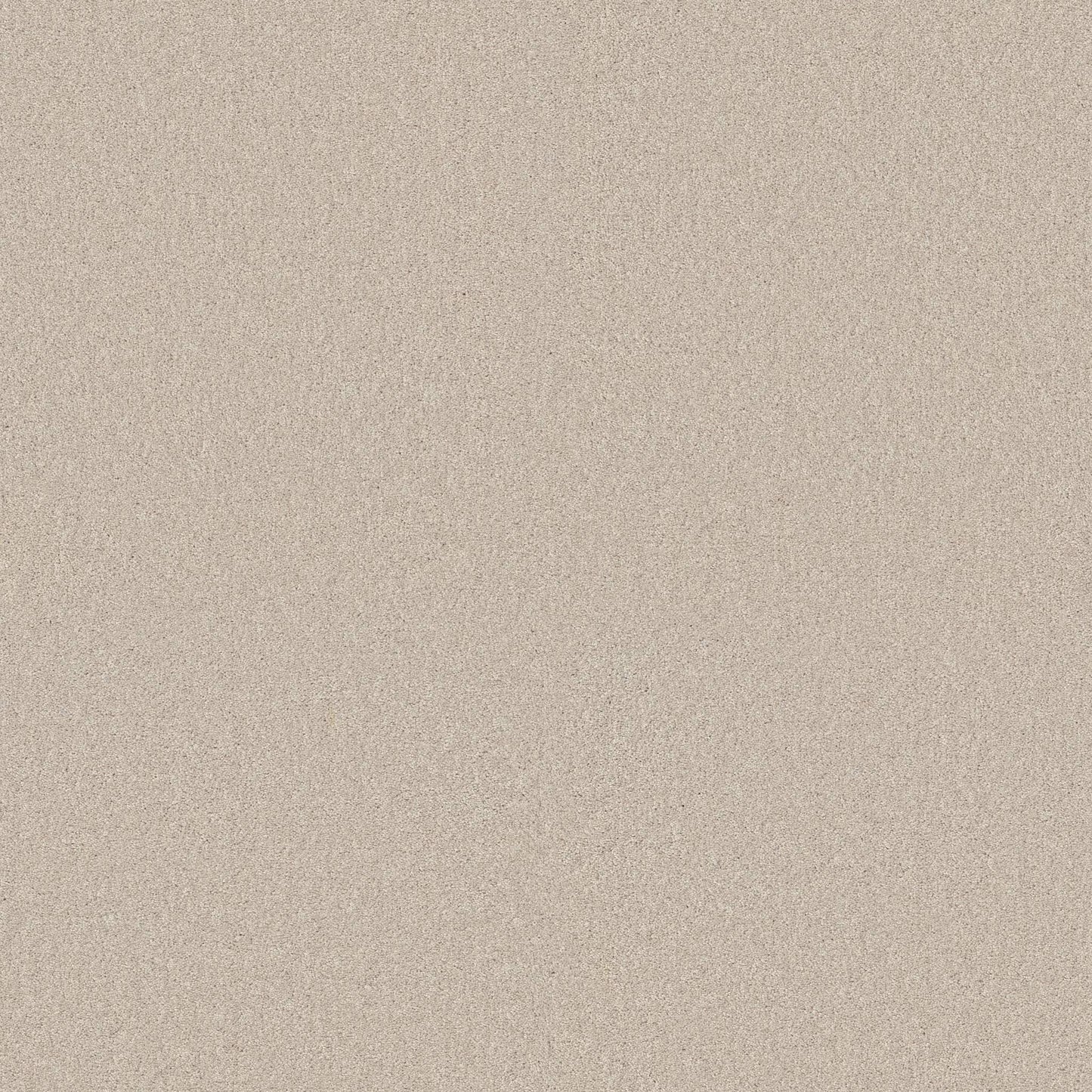 TEXTURE BCF