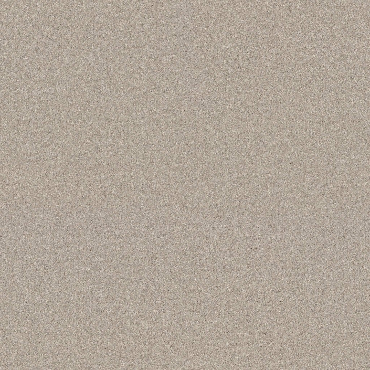 TEXTURE BCF