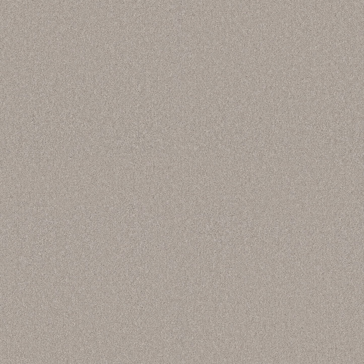 TEXTURE BCF