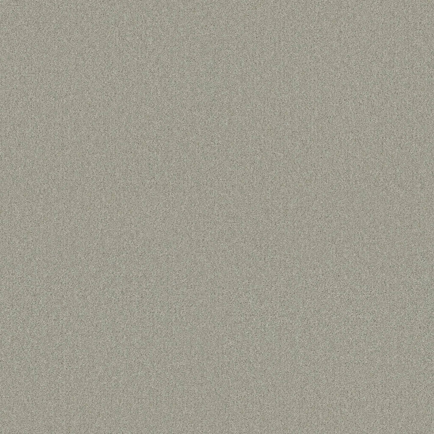 TEXTURE BCF