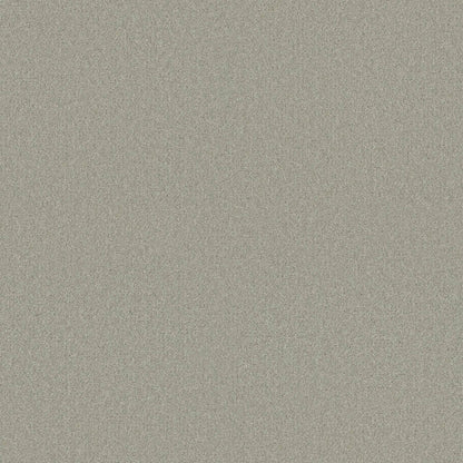 TEXTURE BCF