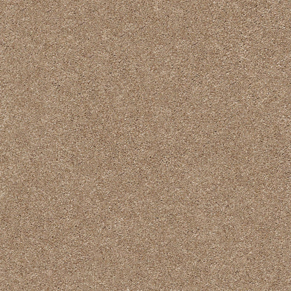 TEXTURE BCF