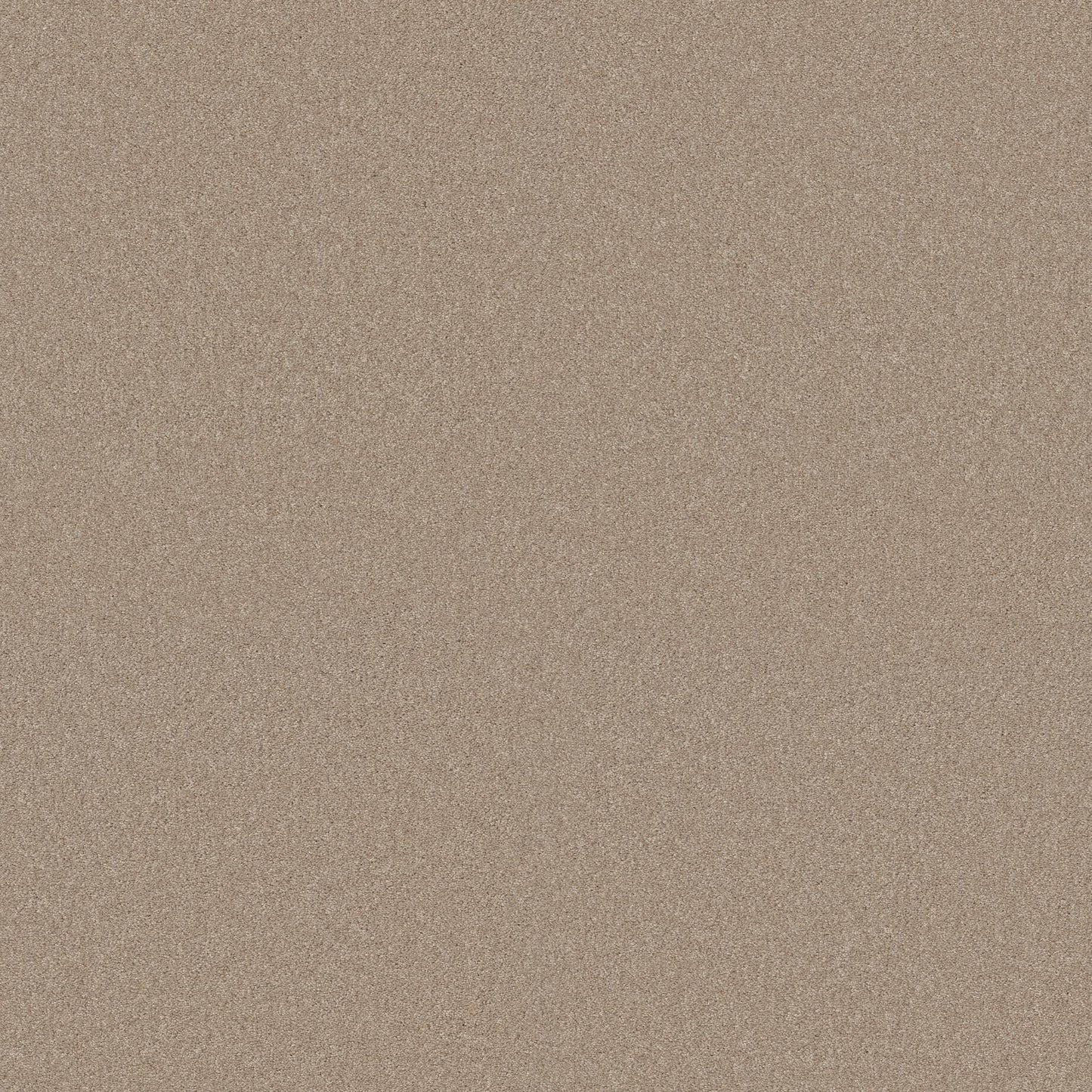 TEXTURE BCF