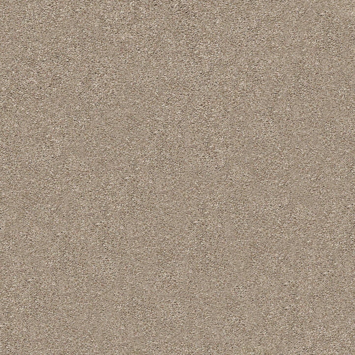 TEXTURE BCF