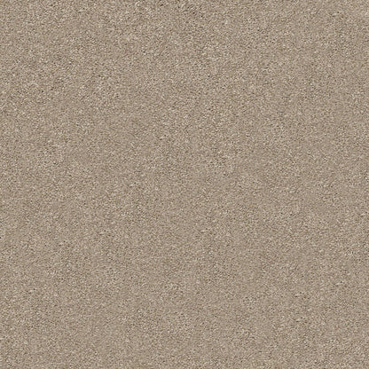 TEXTURE BCF