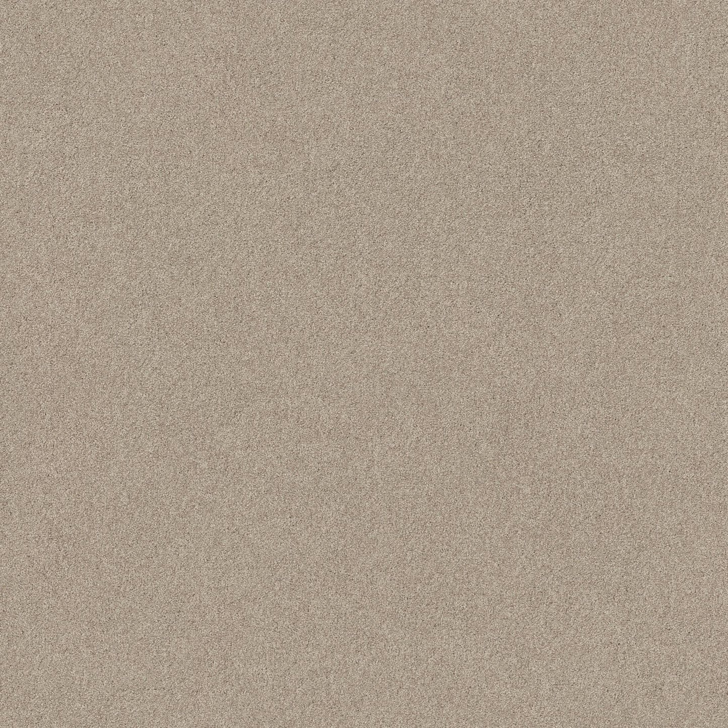TEXTURE BCF