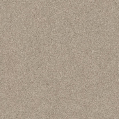 TEXTURE BCF