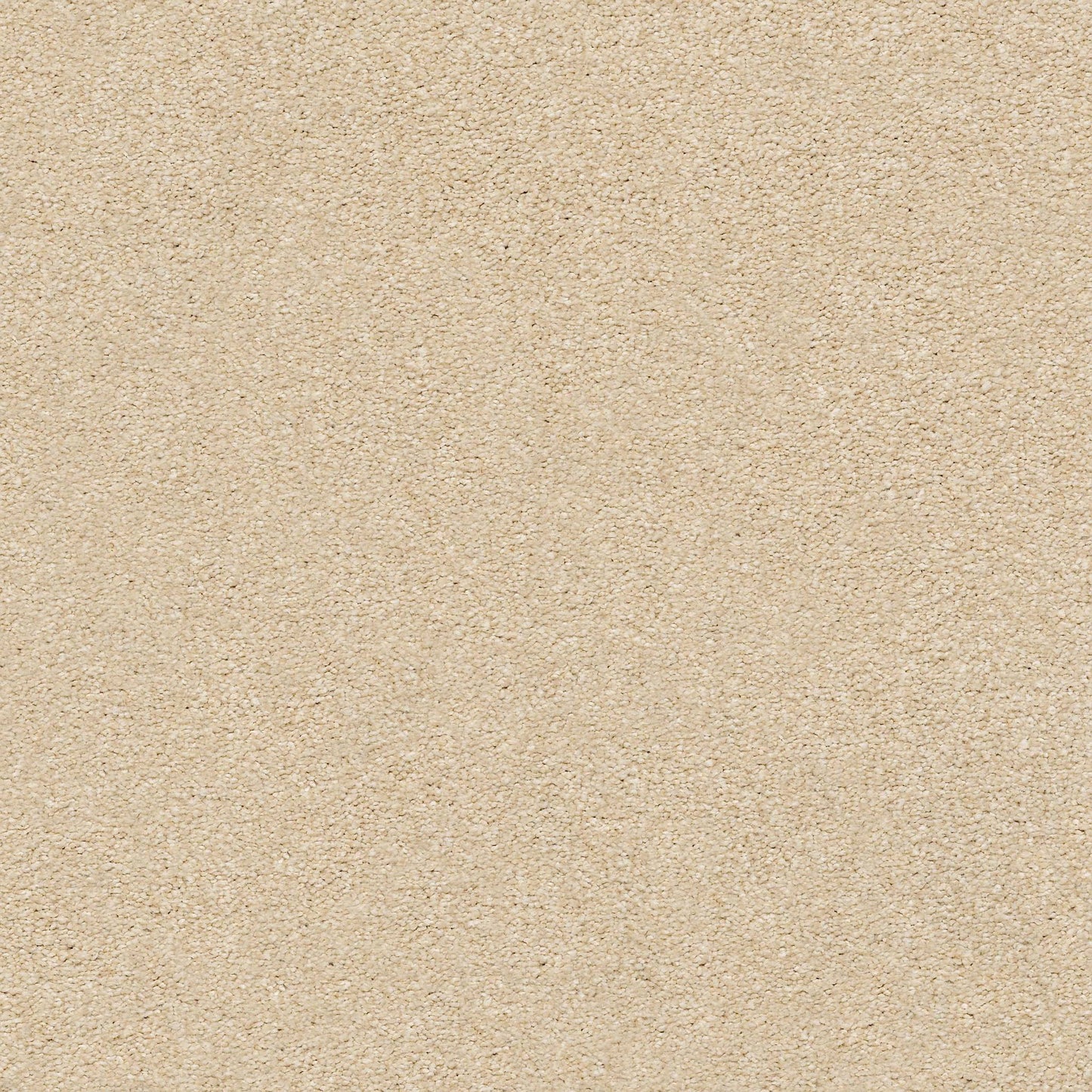 TEXTURE BCF