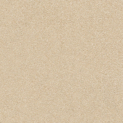 TEXTURE BCF