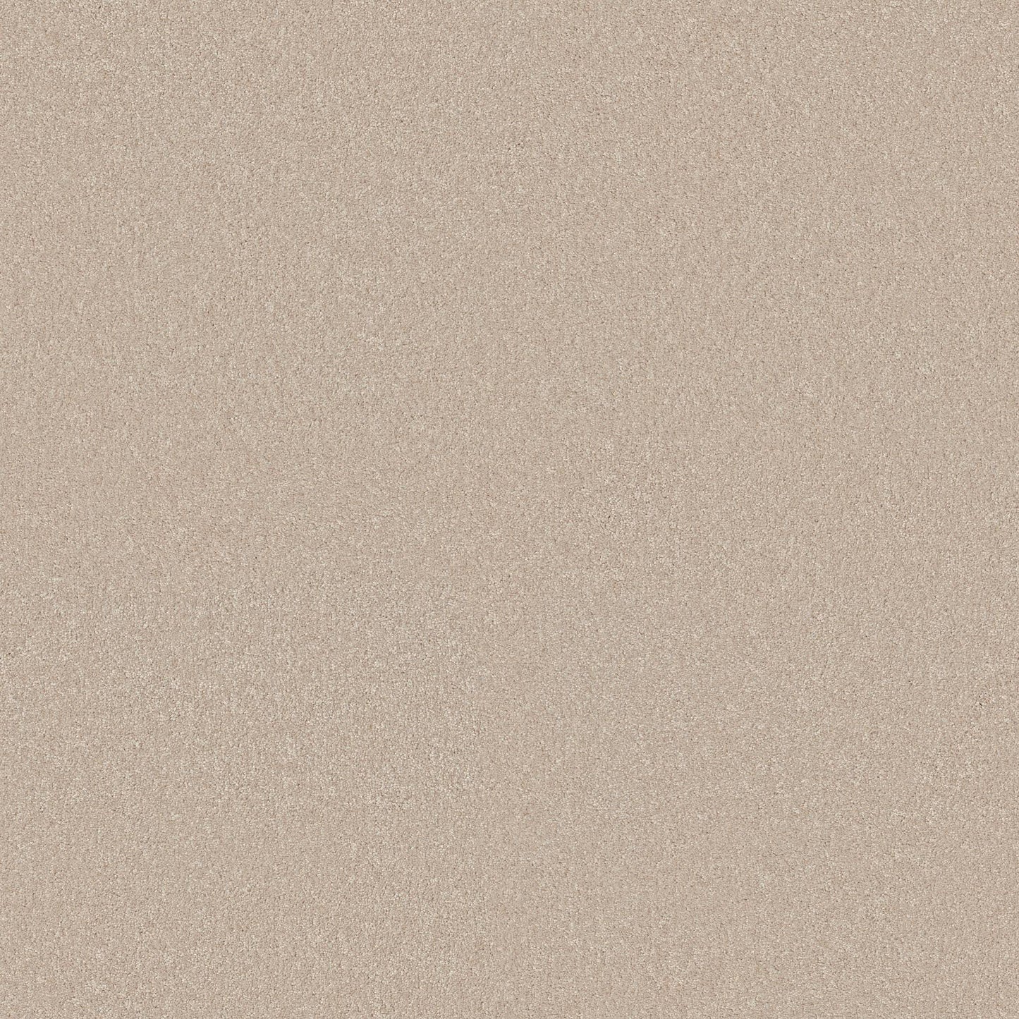 TEXTURE BCF