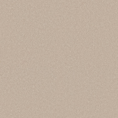 TEXTURE BCF