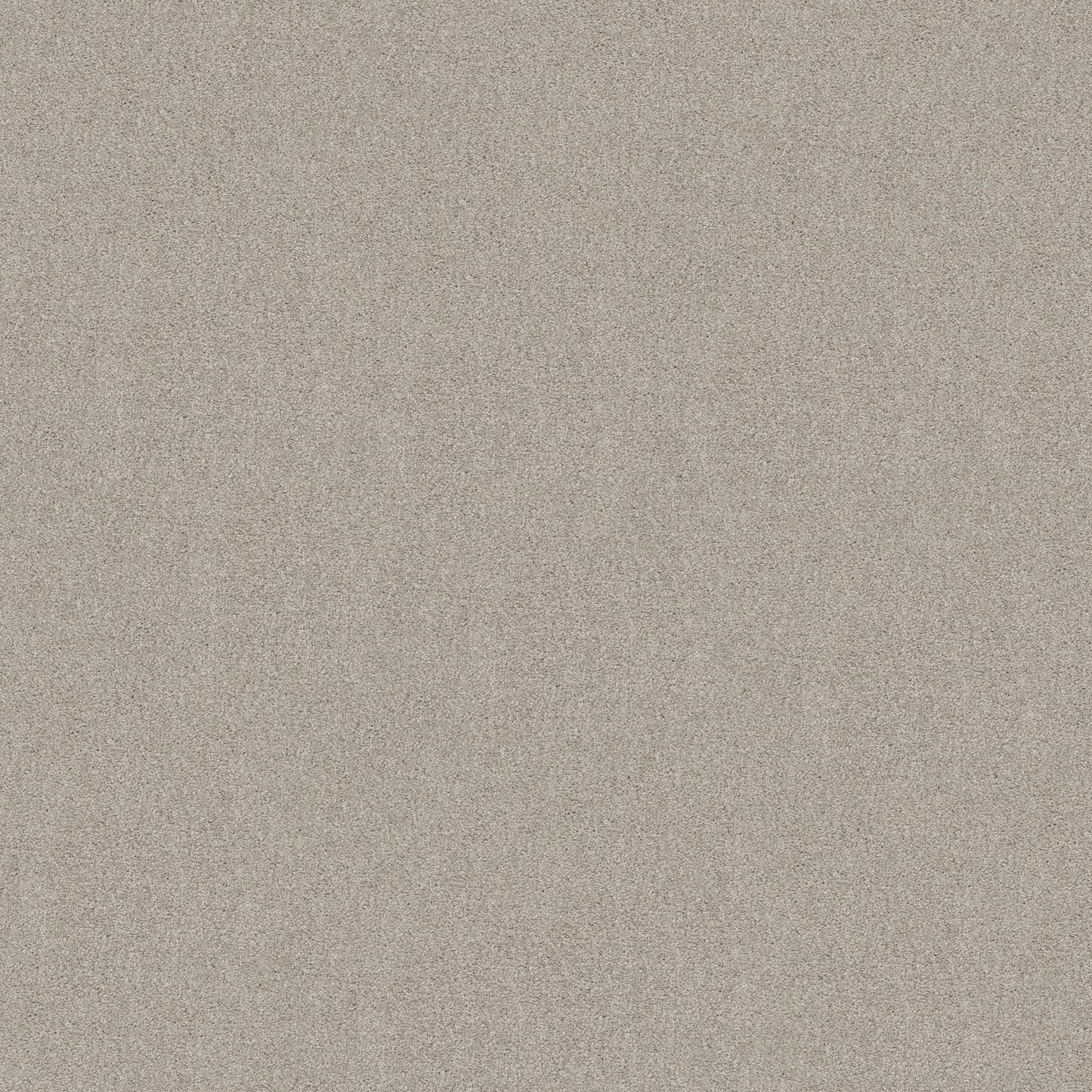 TEXTURE BCF