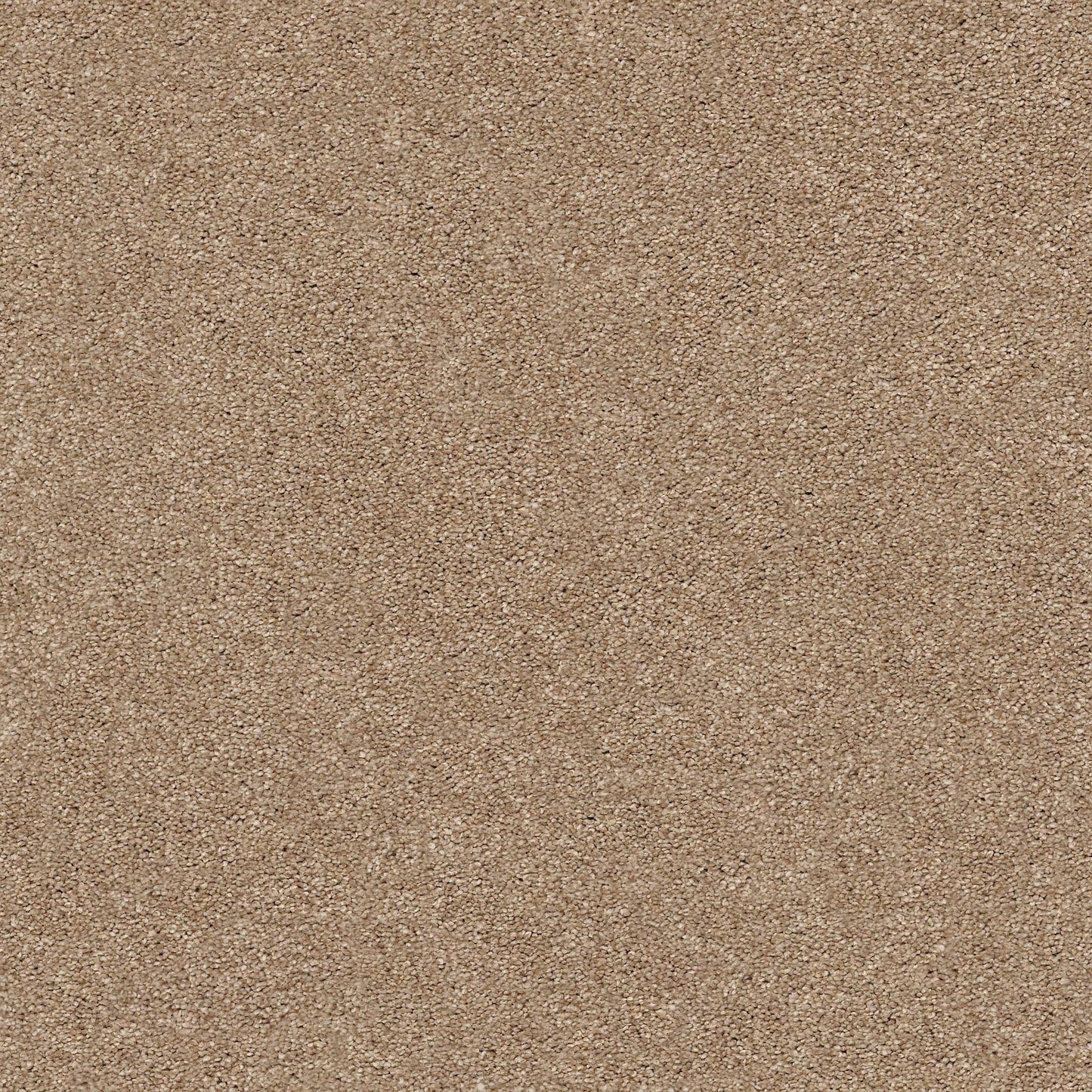 TEXTURE BCF