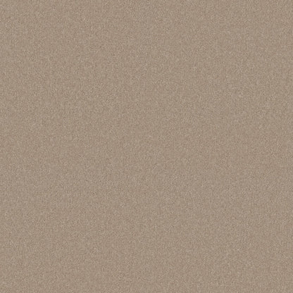 TEXTURE BCF
