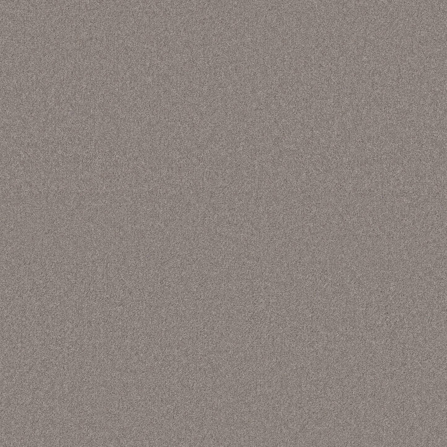 TEXTURE BCF
