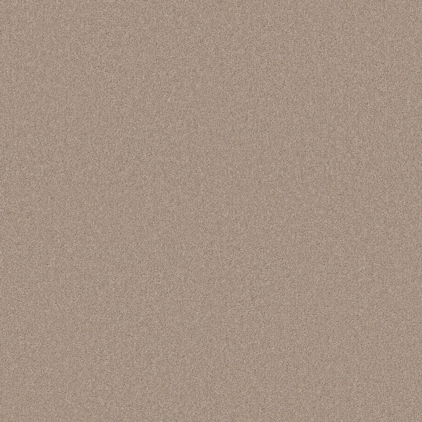 TEXTURE BCF