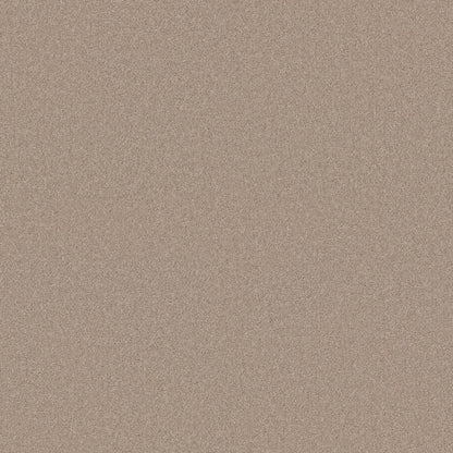 TEXTURE BCF