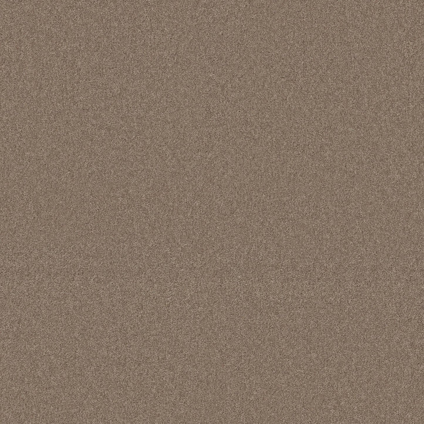 TEXTURE BCF