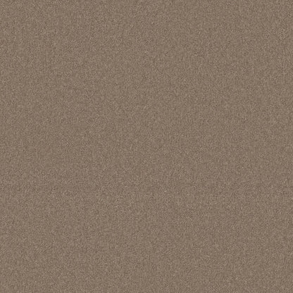 TEXTURE BCF