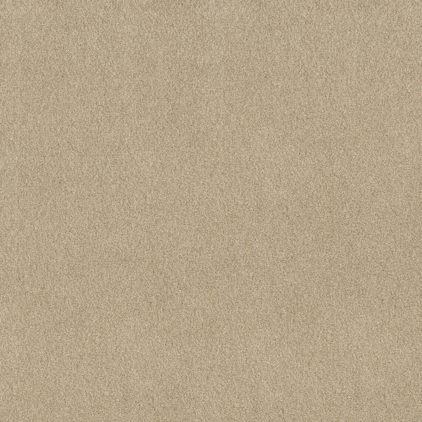 BERBER CUT PILE